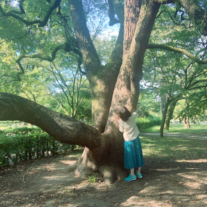 Instagram画像 京都御苑の木